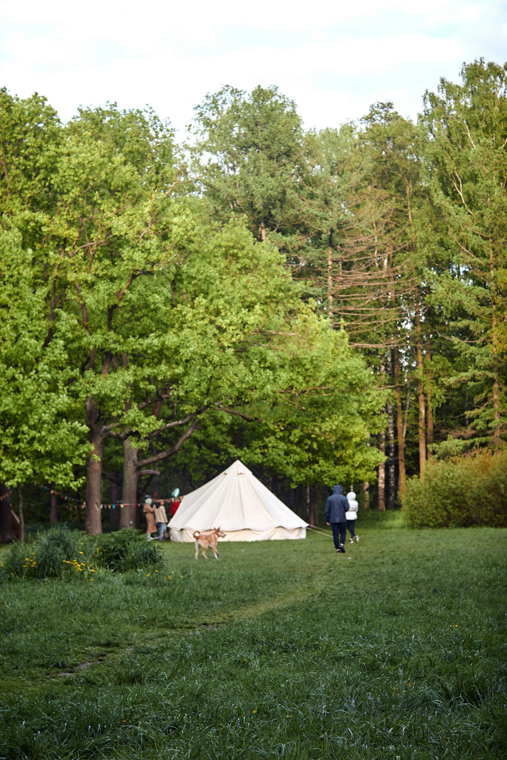 dana sarsenbekova tyfa 0ukmps unsplash