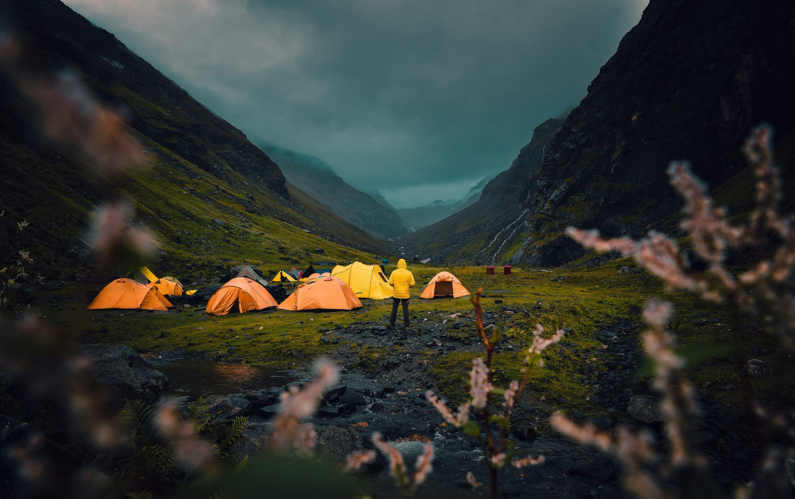 subhadeep saha afy6 jfln28 unsplash